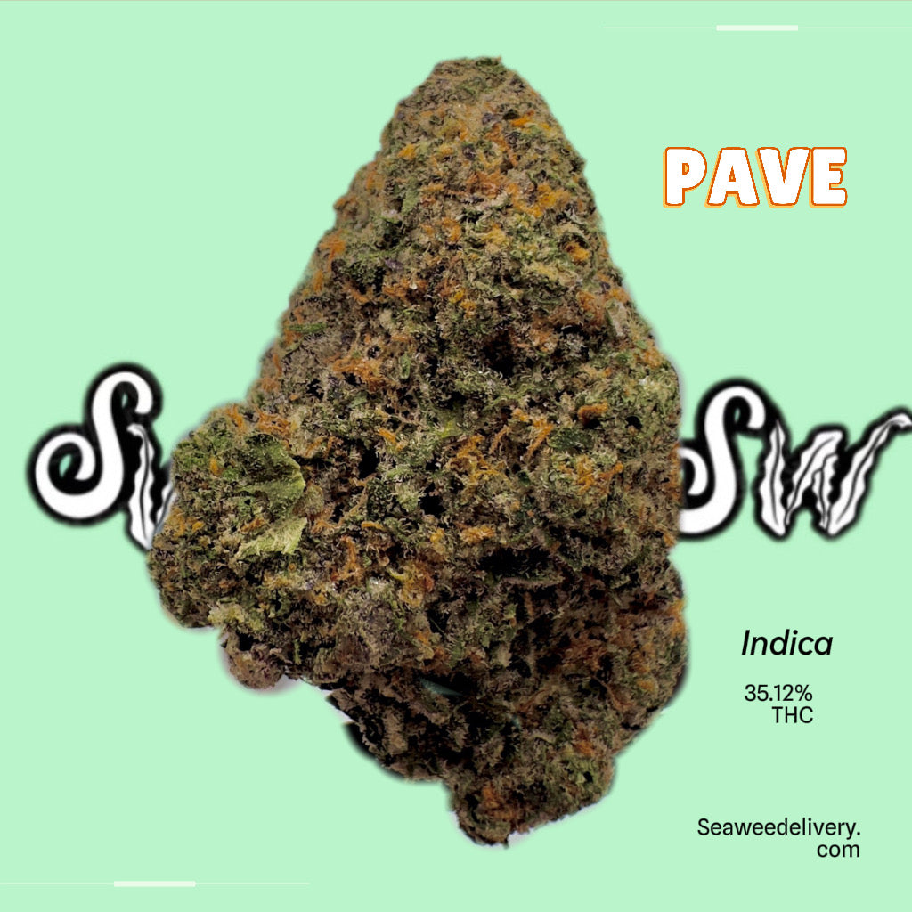 Discover Pavé: A High-Potency Weed Strain with Exotic Flavors ...