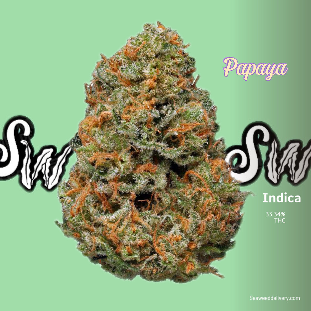 Papaya