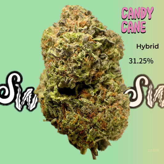 Candy Cane (Hybrid)