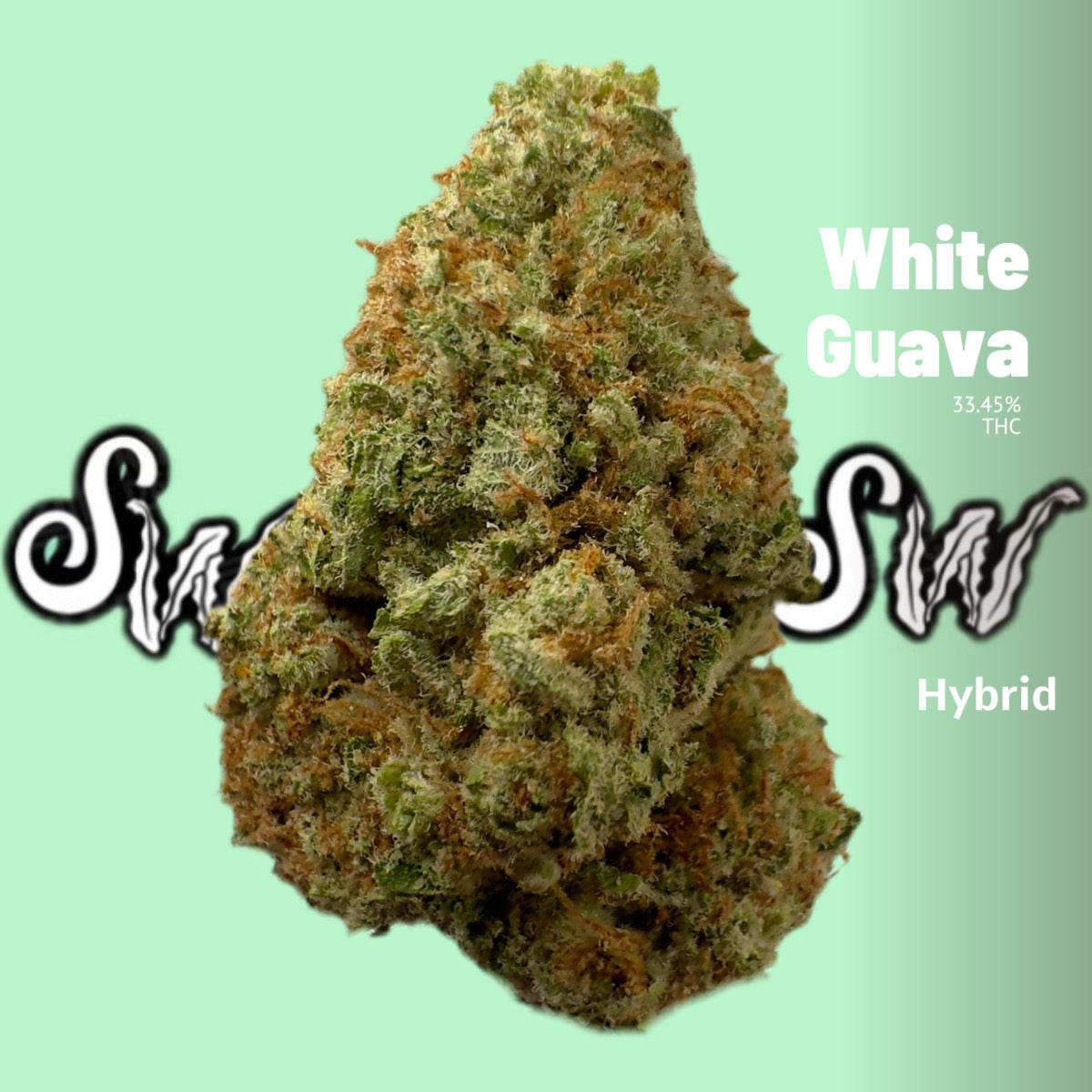 White Guava (Hybrid)