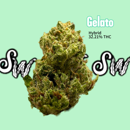 Gelato (Hybrid)