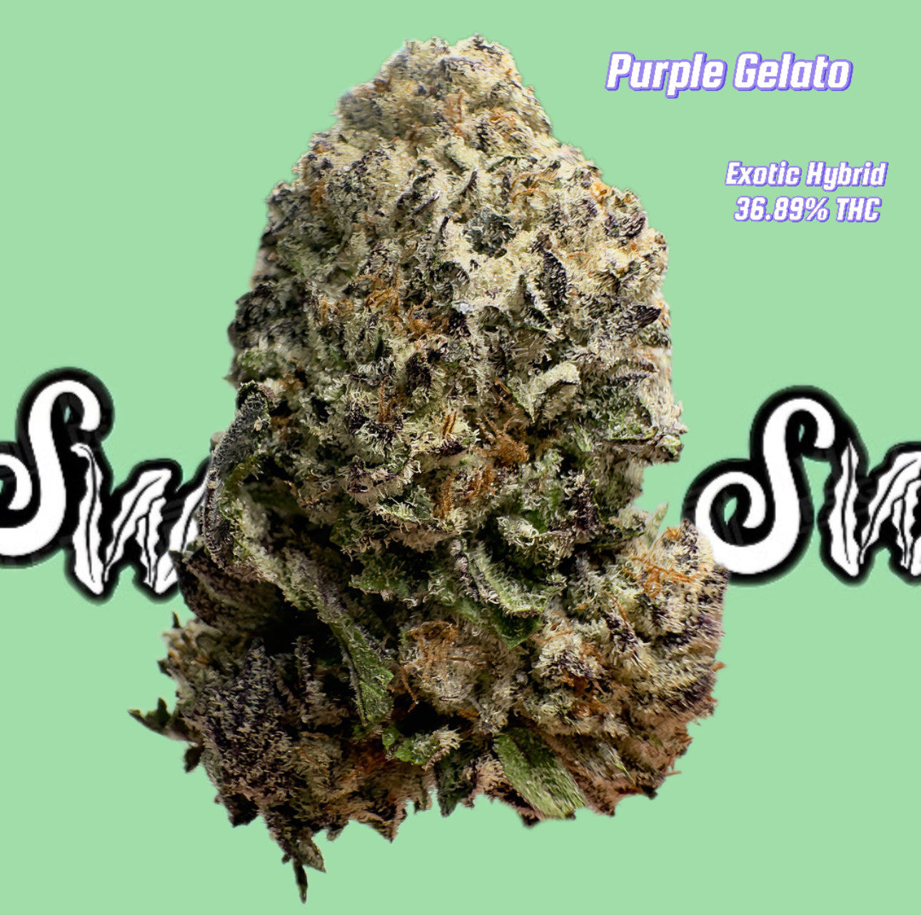 Purple G - Exotic (Hybrid Indica Dominant)