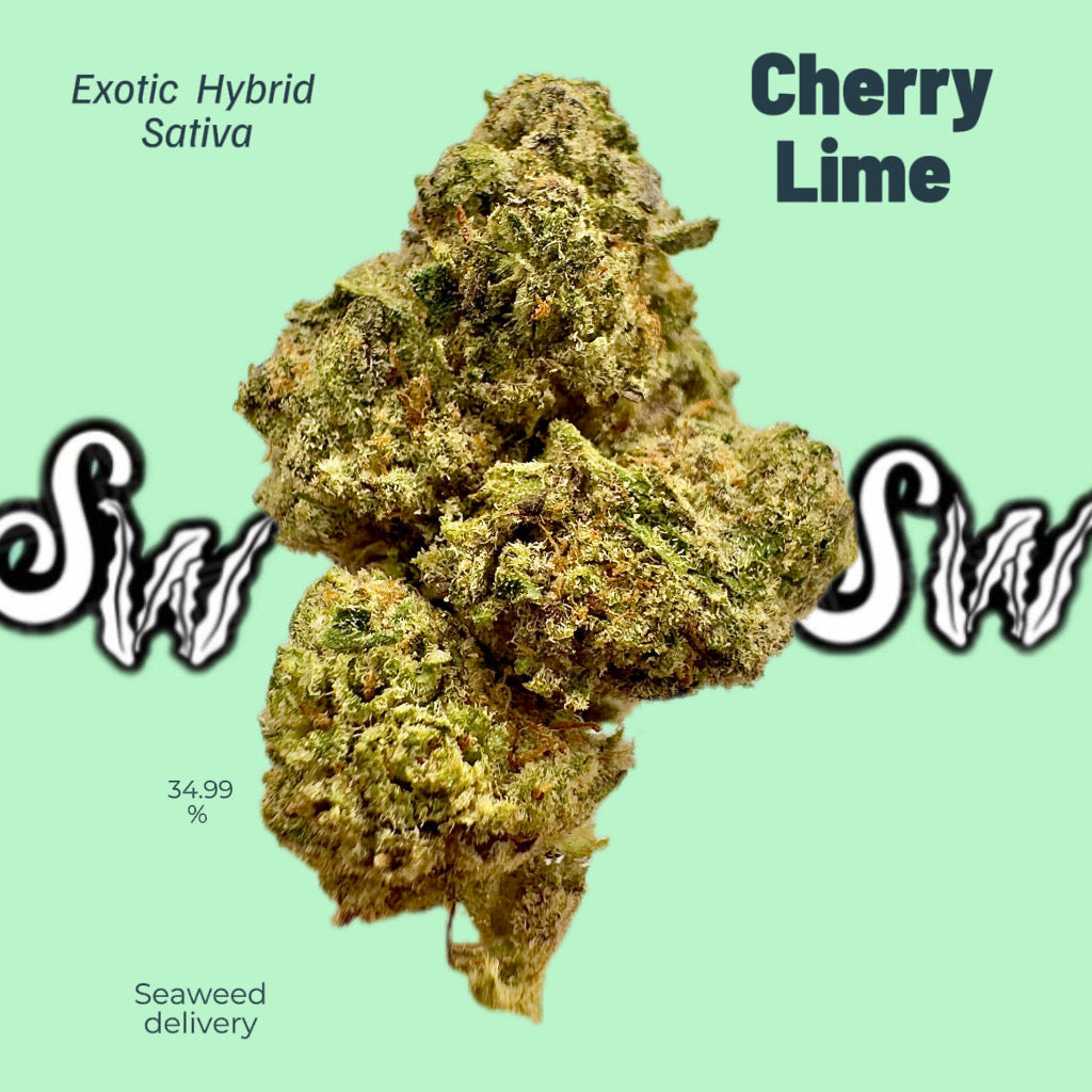 Cherry Lime Sativa Hybrid Weed Strain - A Flavorful Burst of Energy and ...