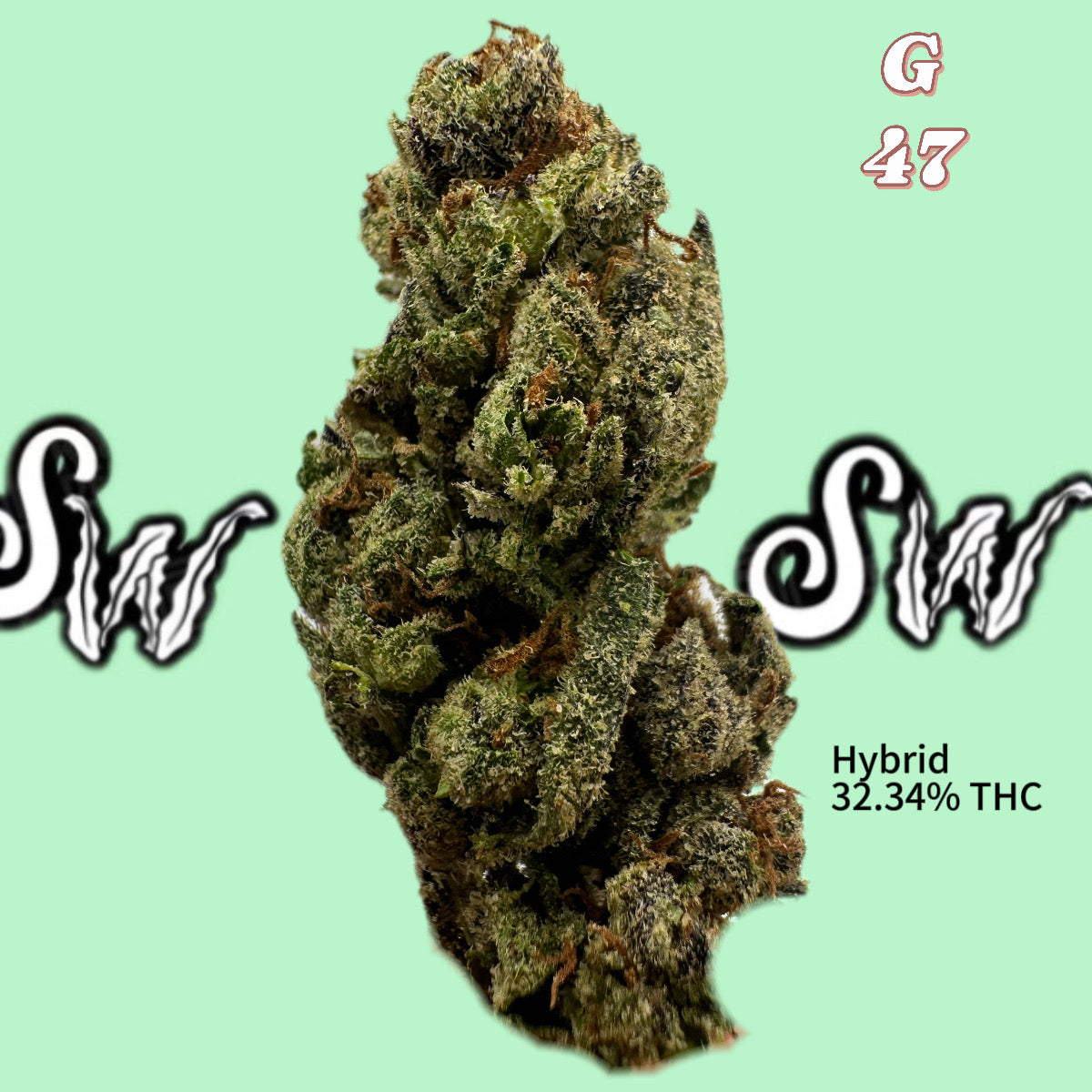 Seaweed Flower: 1/2 & Oz Specials