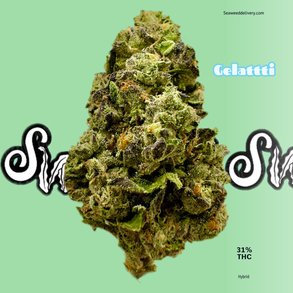 Seaweed Flower: 1/2 & Oz Specials