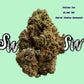 Seaweed Flower: 1/2 & Oz Specials