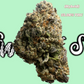 Seaweed Flower: 1/2 & Oz Specials