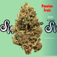 Seaweed Flower: 1/2 & Oz Specials