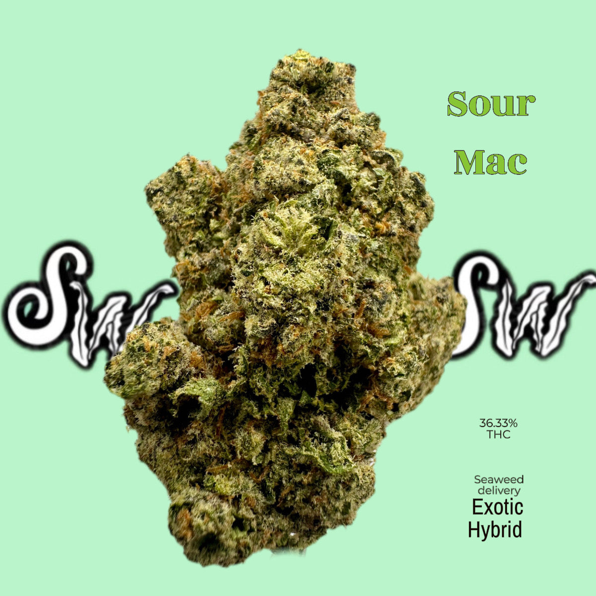 Sour Mac - Exotic (Hybrid)