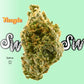 Seaweed Flower: 1/2 & Oz Specials