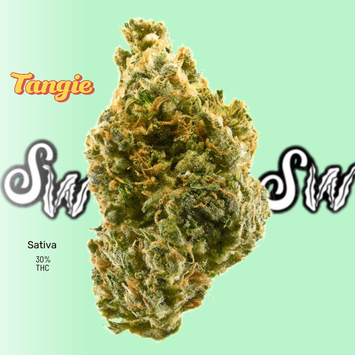 Seaweed Flower: 1/2 & Oz Specials