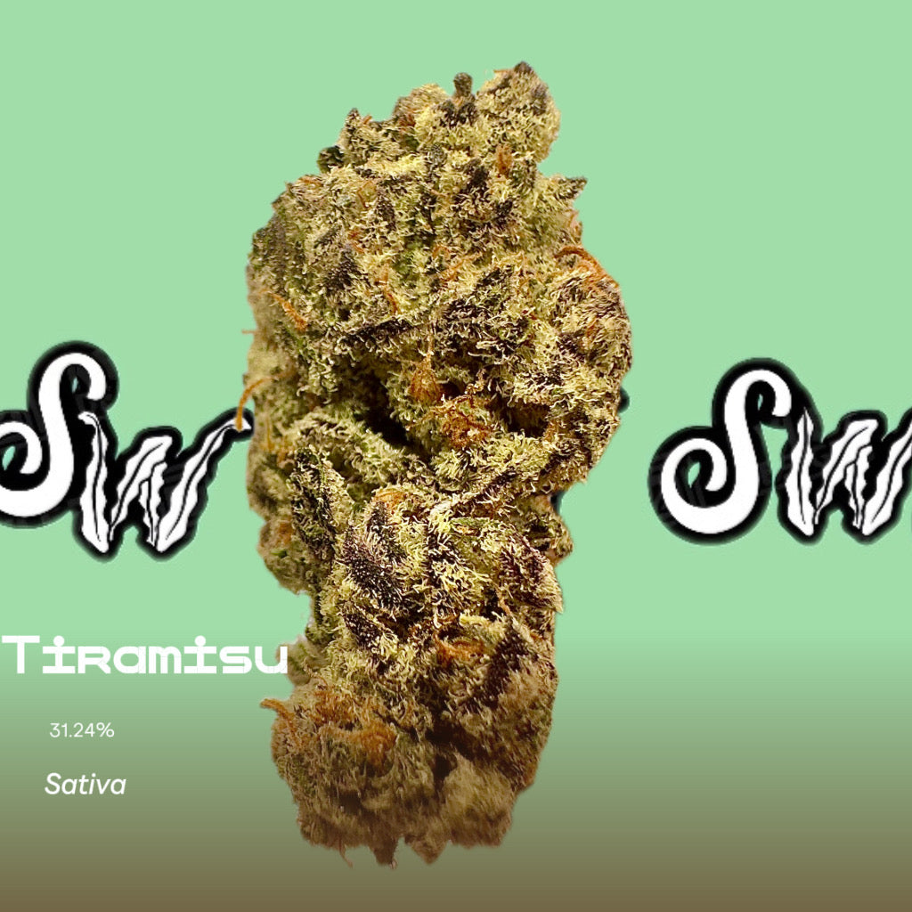 Seaweed Flower: 1/2 & Oz Specials