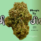 Seaweed Flower: 1/2 & Oz Specials